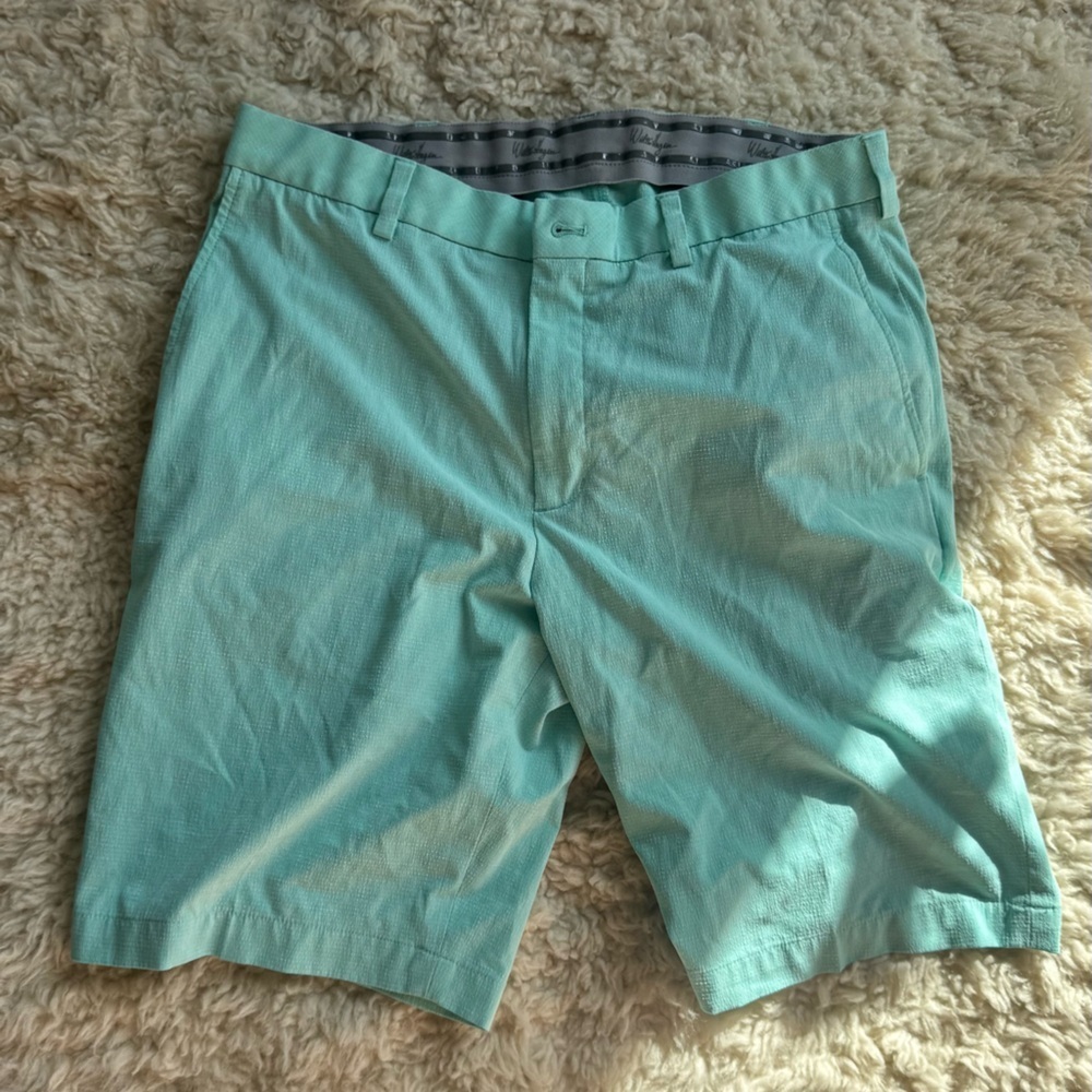 Men's Teal Shorts